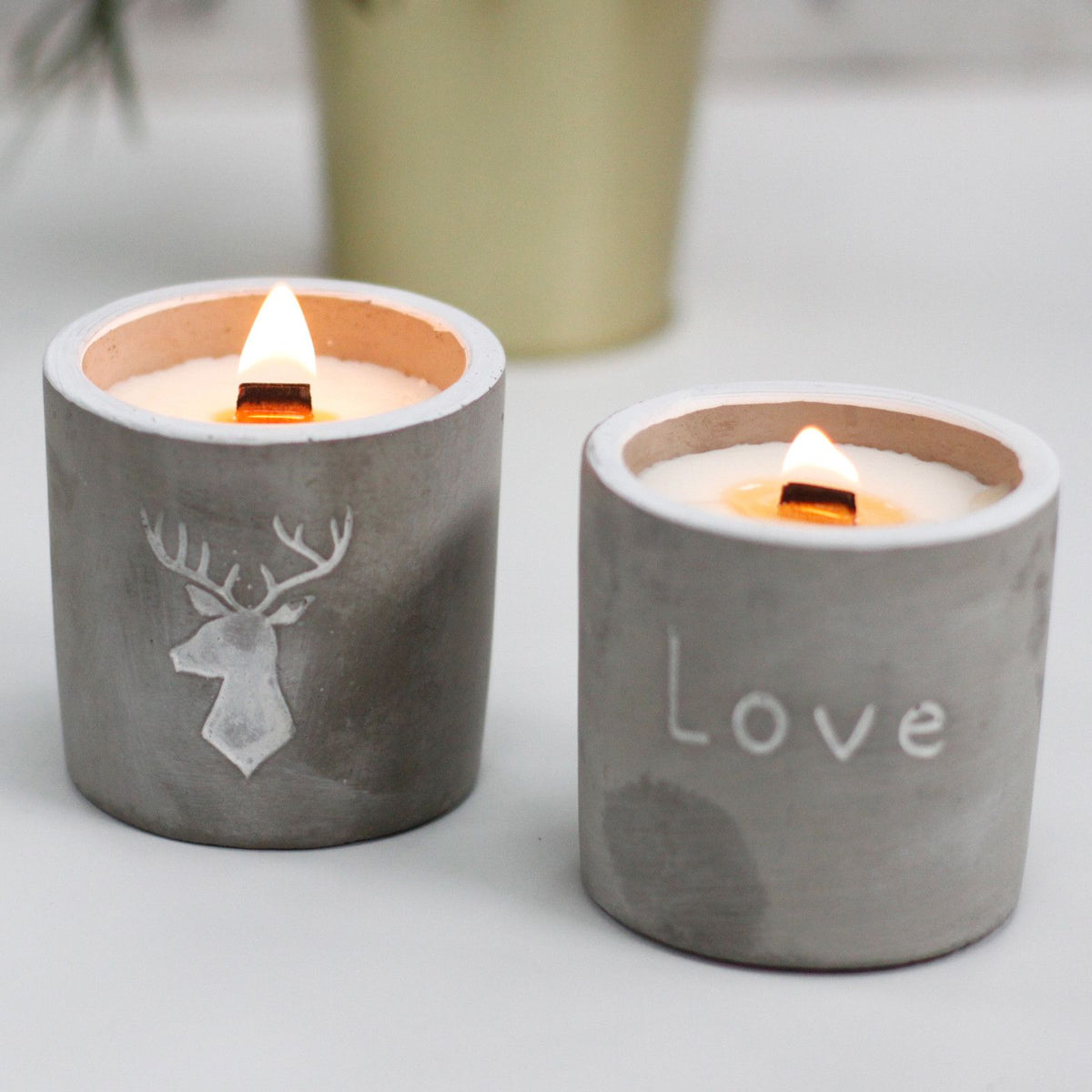 Purple Fig & Casis Wooden Wick Candle