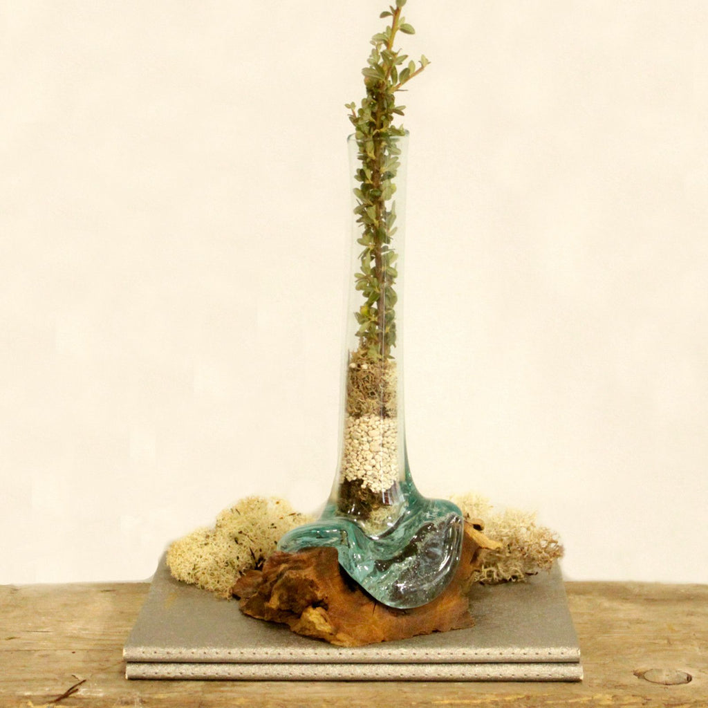 Molten Glass Vase on Natural Wood