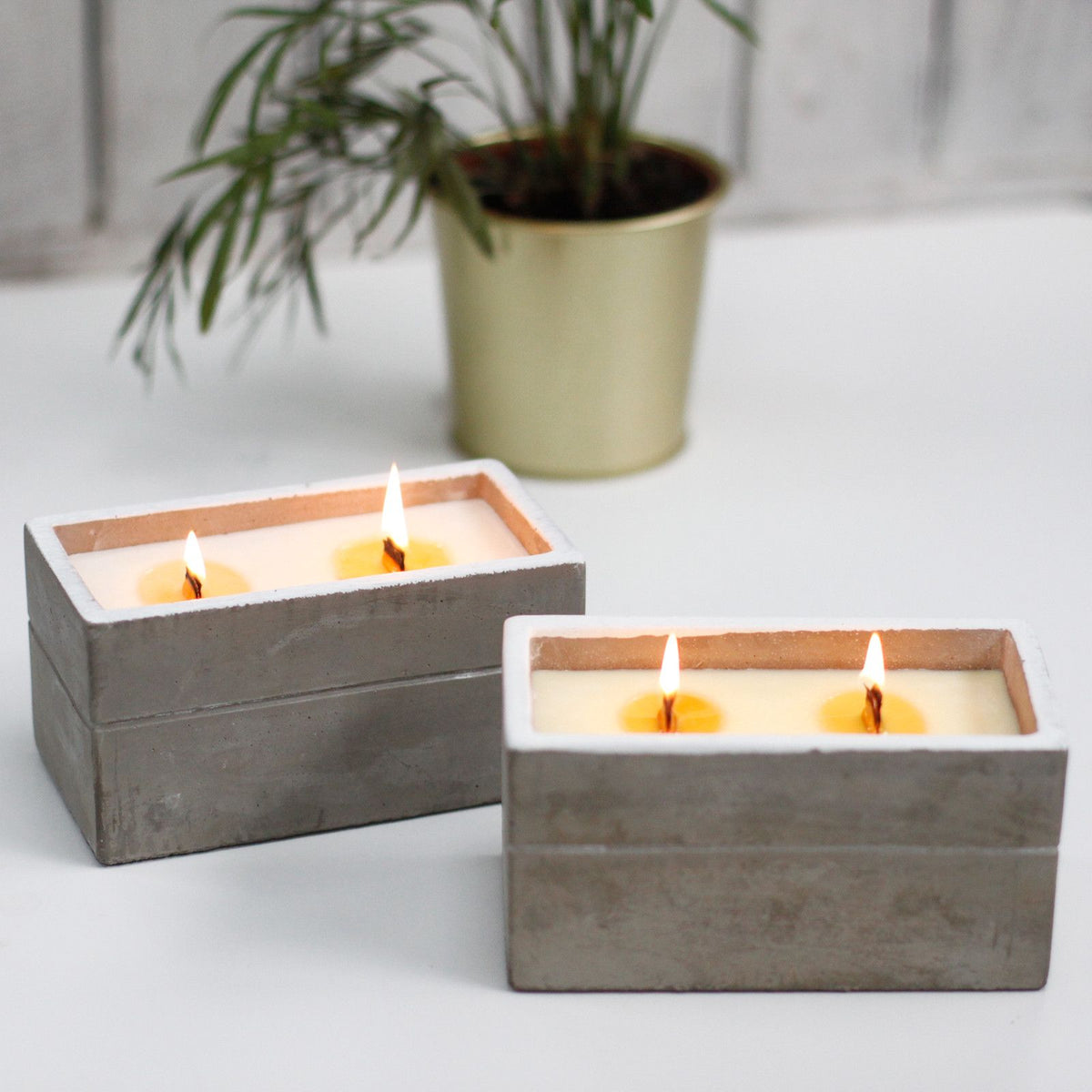 Spiced South Sea Lime Wooden Wick Candle