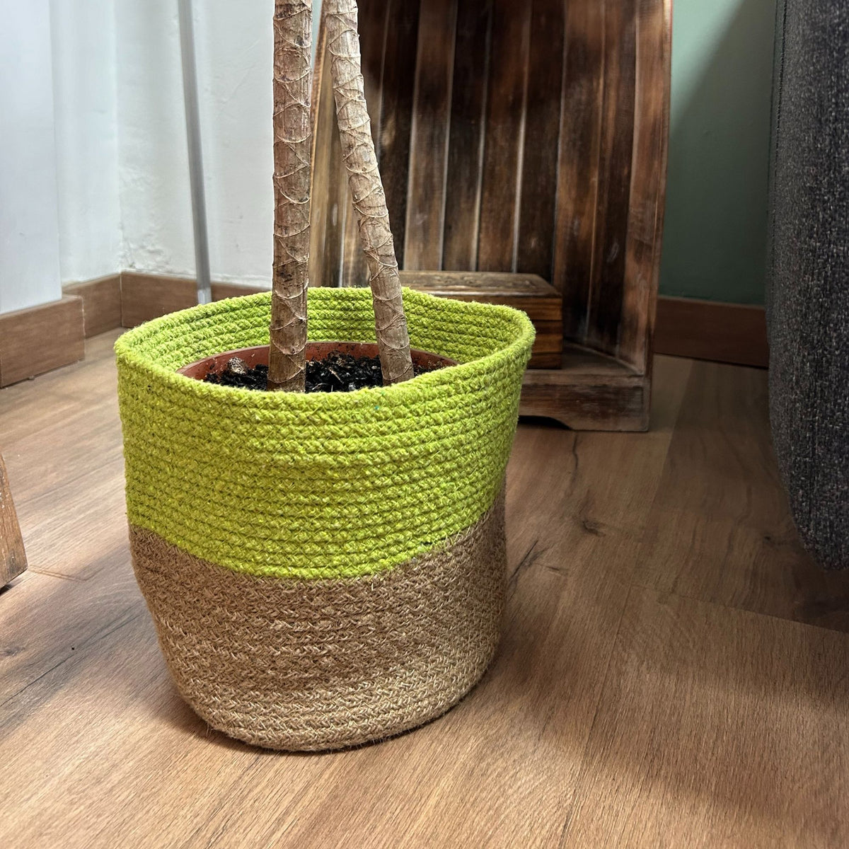 Pistachio Cotton Rope Baskets, Set of 3