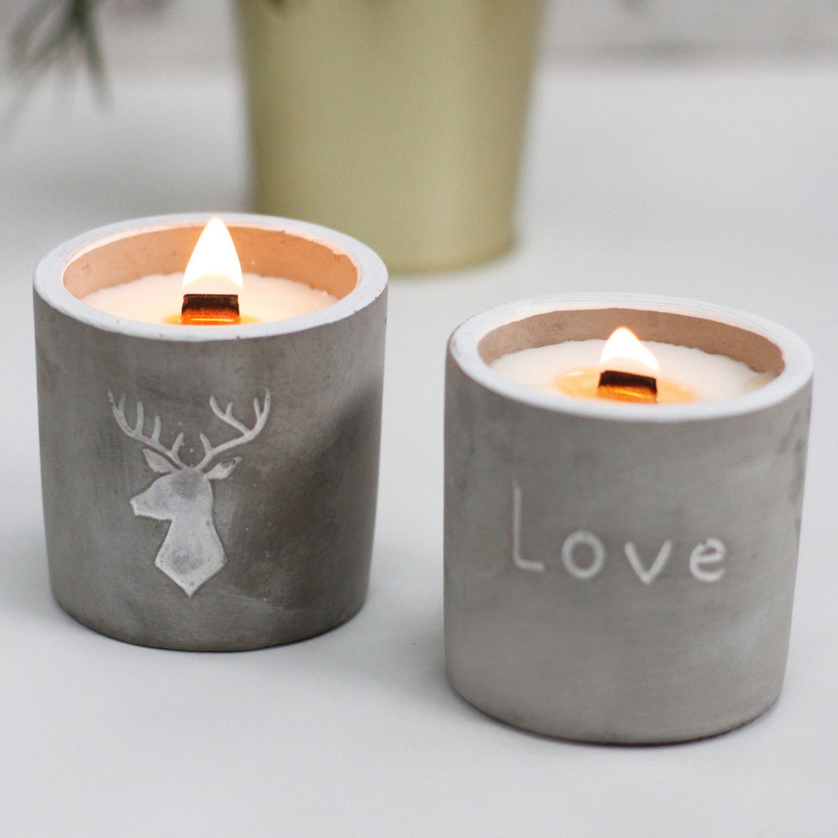 Purple Fig & Casis Wooden Wick Candle